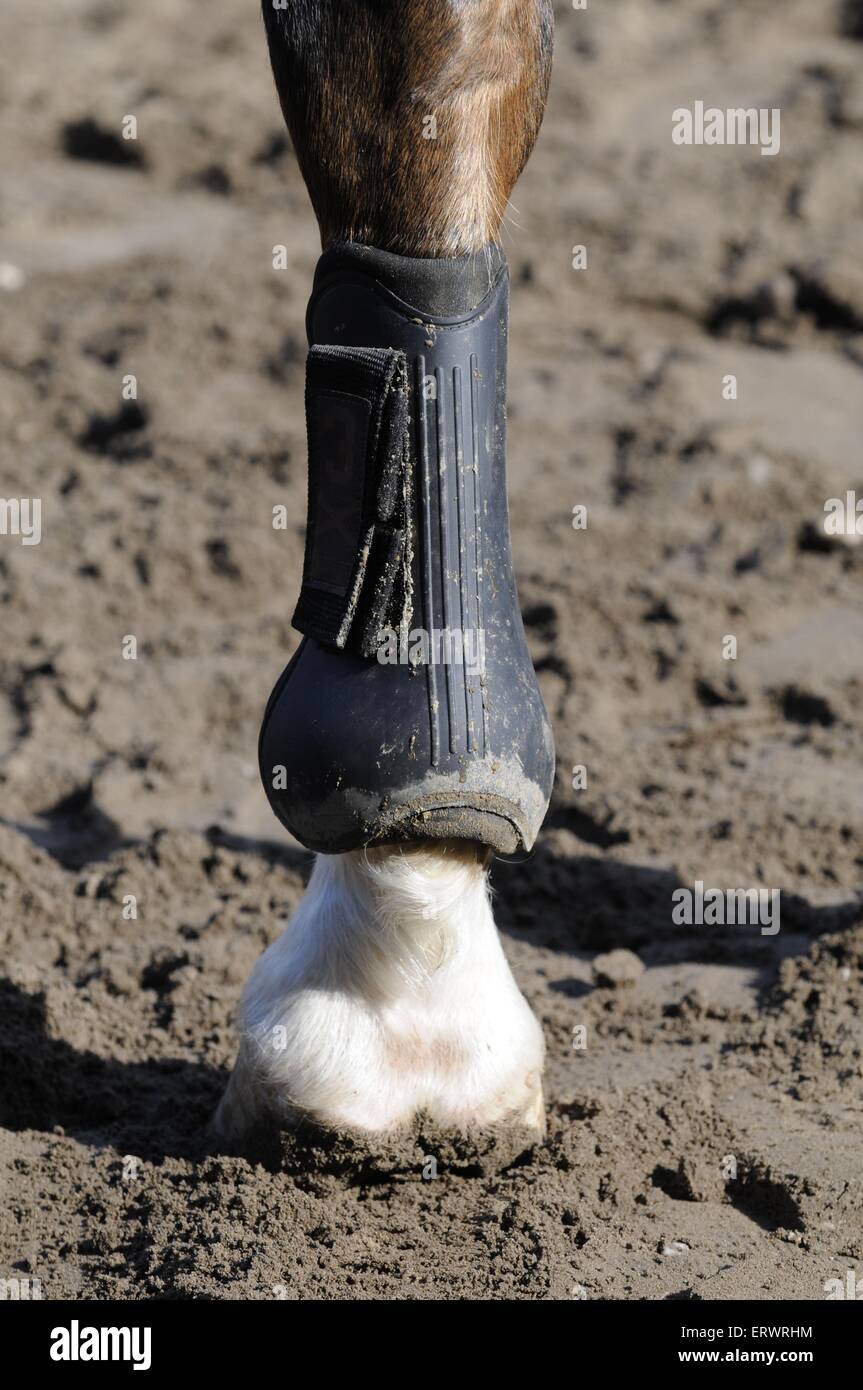 Gaiter High Resolution Stock Photography and Images Alamy