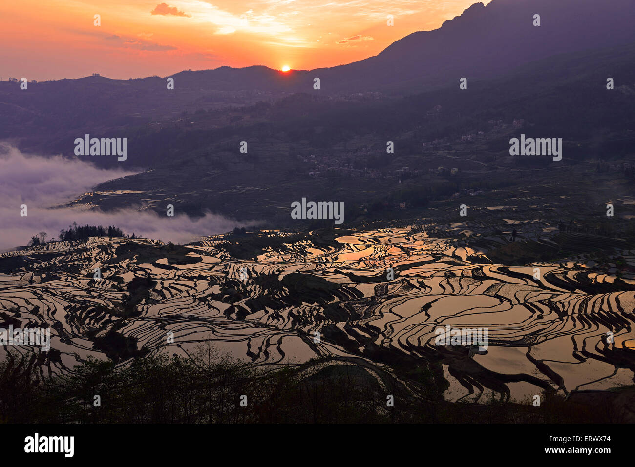 Terraced fields, Yunnan, China Stock Photo