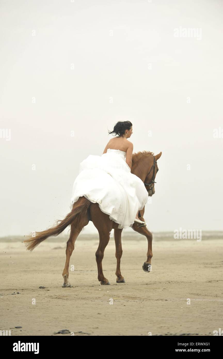 woman rides Hanoverian horse Stock Photo