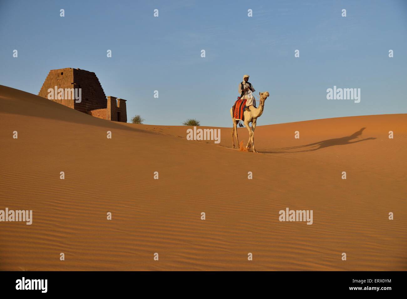 Man riding a dromedar in front of a pyramid of the northern cemetery of Meroe, Nubia, Nahr an-Nil, Sudan Stock Photo