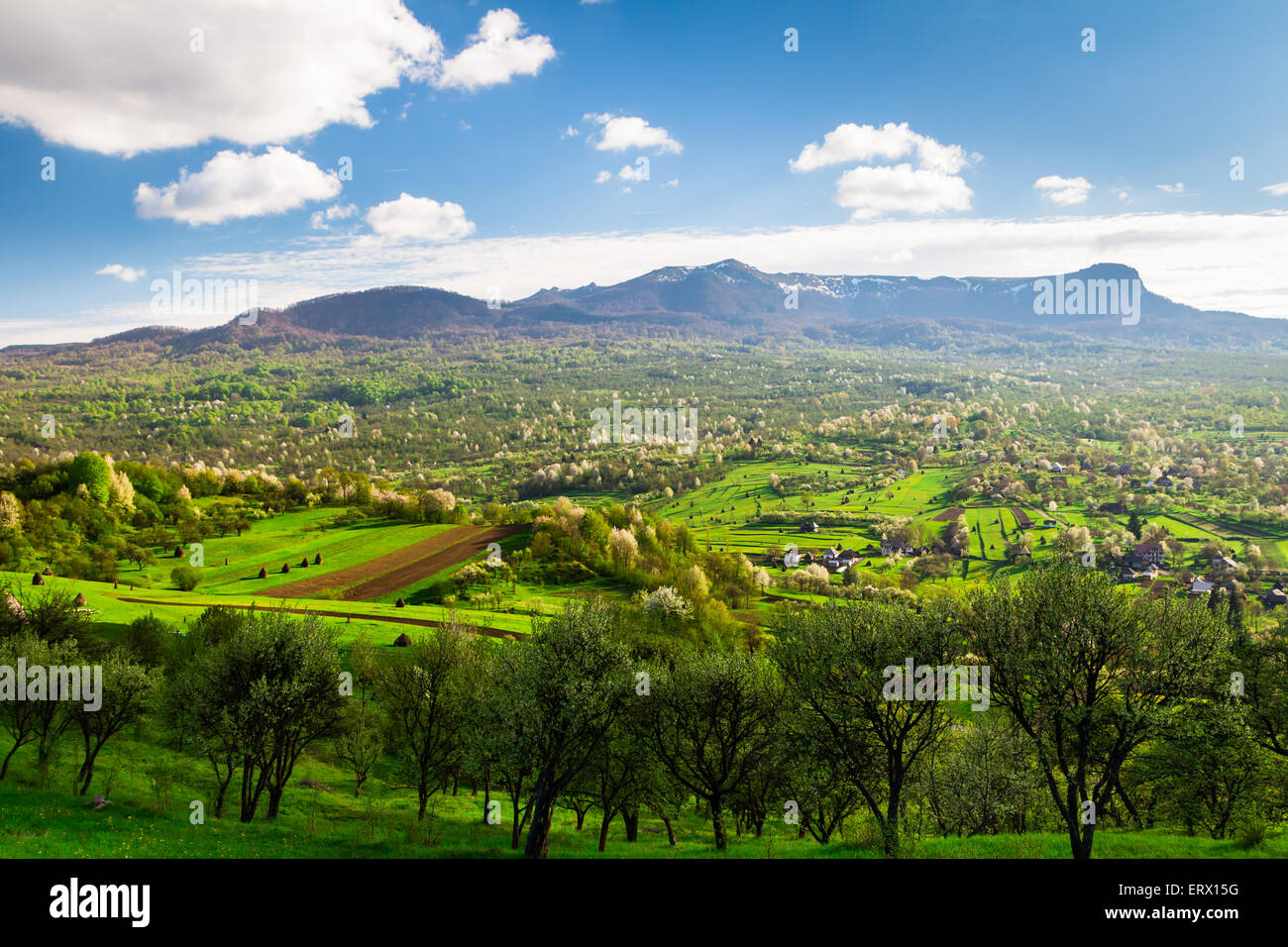 Landscape in Maramures, Romania. Green pastures with trees, a village and a mountain in the background Stock Photo