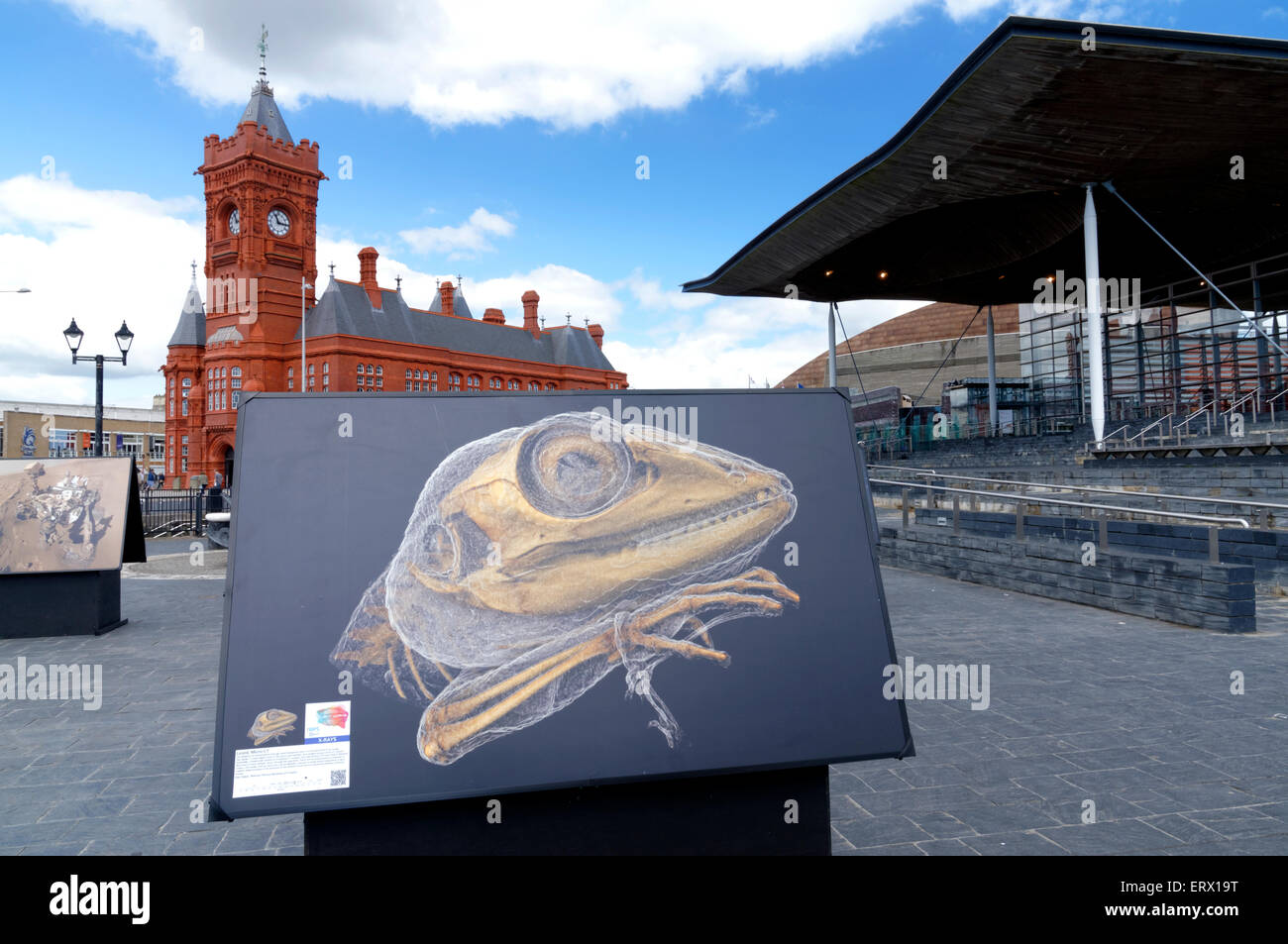 Royal Photographic Society Exhibition outside of the Senedd Building, Cardiff Bay, Cardiff, South Wales, UK. Stock Photo