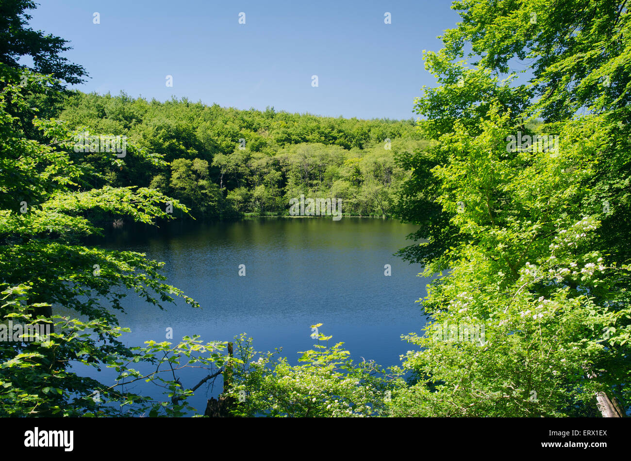 Lake Herthasee Jasmund National Park Unesco World Heritage Site Stock Photo 83550514 Alamy