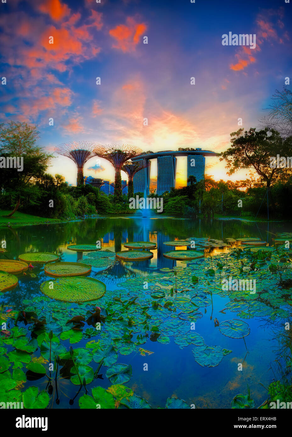 SINGAPORE-JUN 07: Evening view of Water Lily pond, and Marina Bay Sands at Gardens by the Bay on Jun 07, 2015 in Singapore. Stock Photo