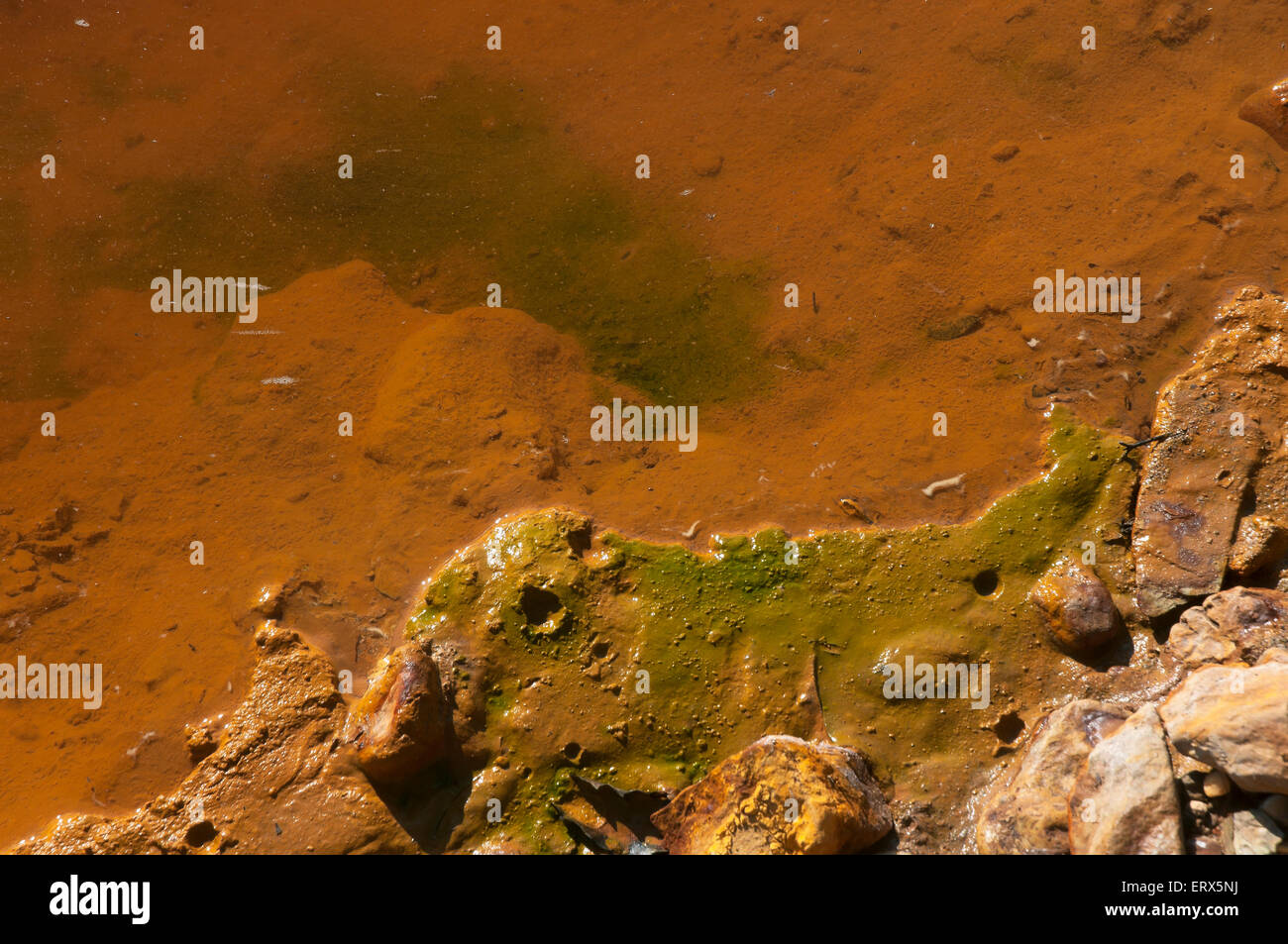 Rio Tinto-algae, Villarrasa, Huelva province, Region of Andalusia, Spain, Europe Stock Photo
