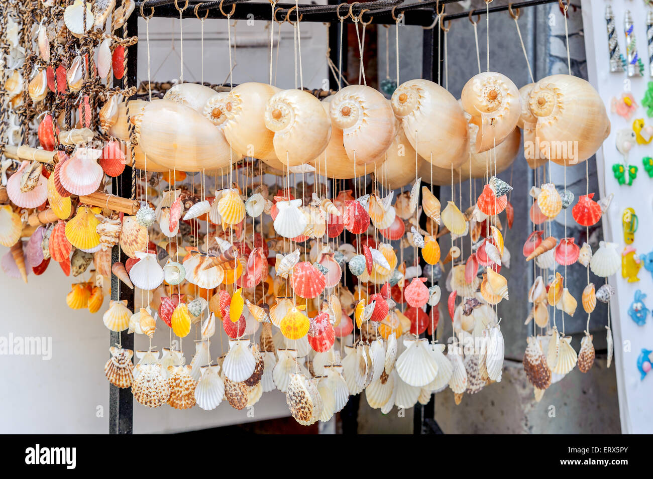 seashells and starfish tied each other by string collection of various colorful ornament. Stock Photo
