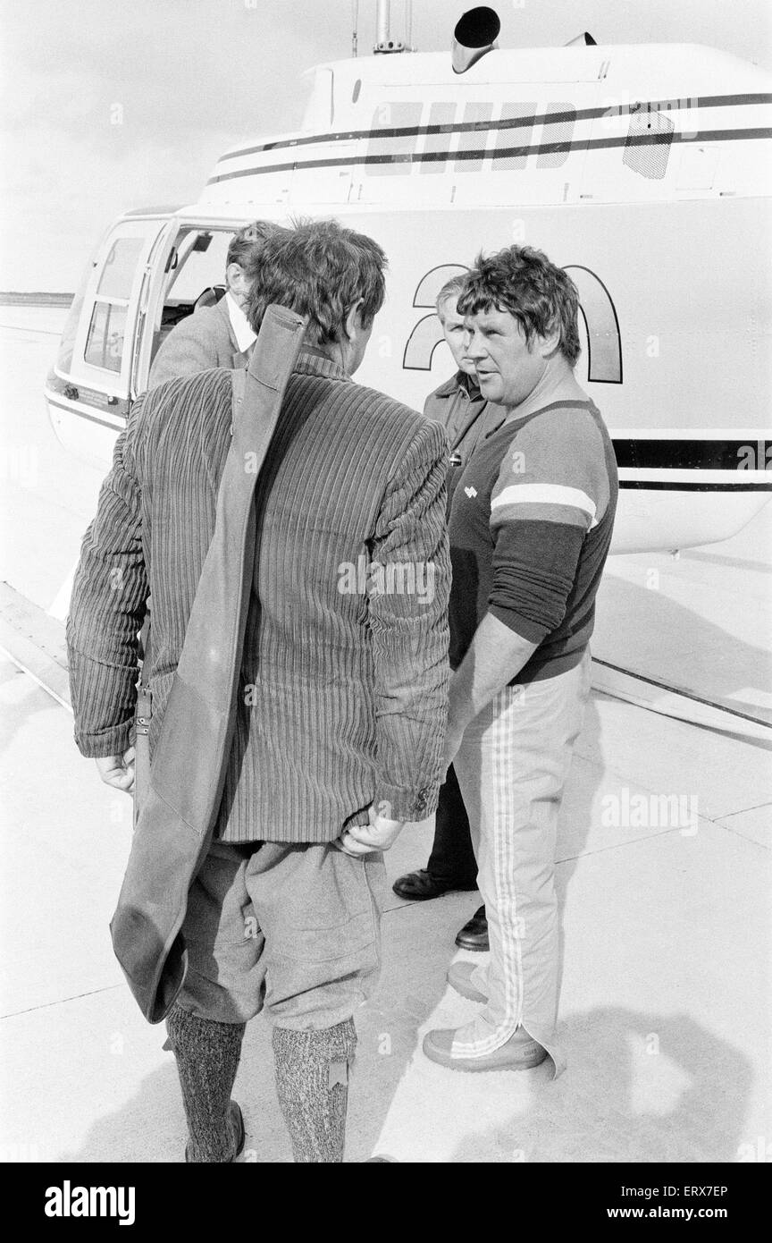 Hercules The Bear, tracked down and captured on the waste moorlands of