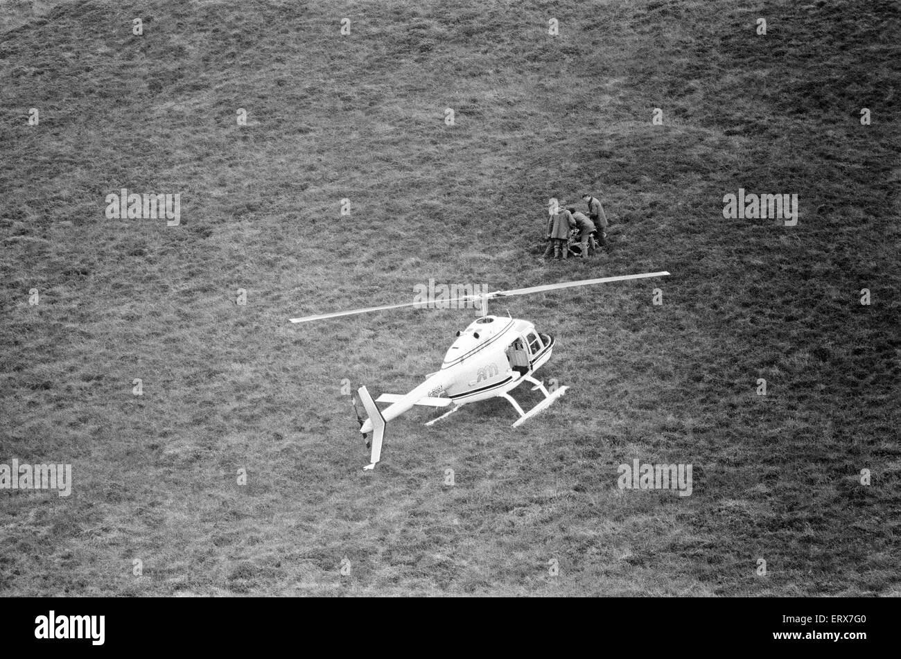 Hercules The Bear, tracked down and captured on the waste moorlands of