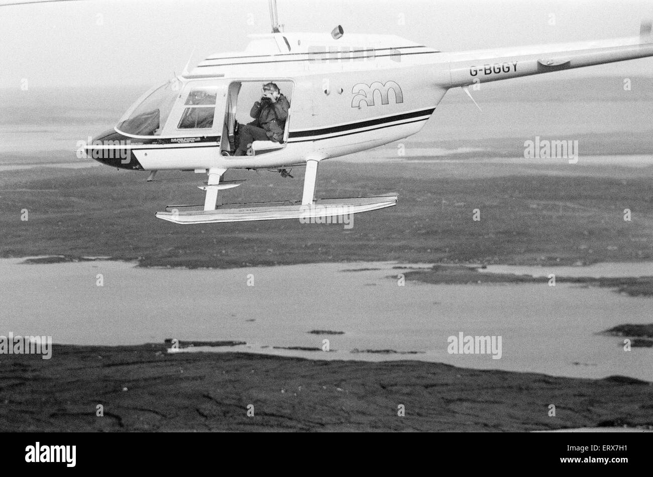 Hercules The Bear, tracked down and captured on the waste moorlands of