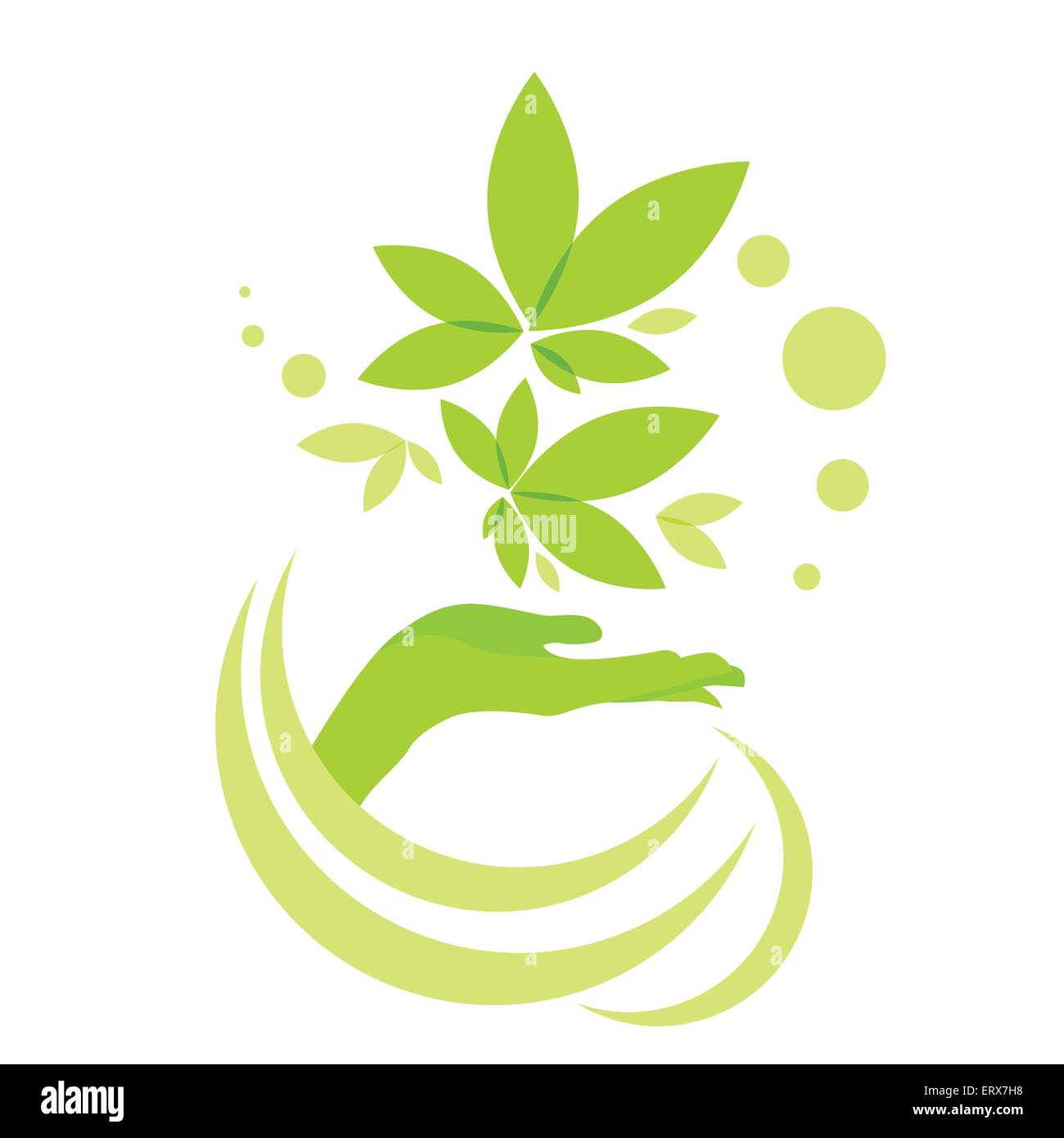 Hand Hold Green Leaves Logo Icon Isolated on White Background Stock ...