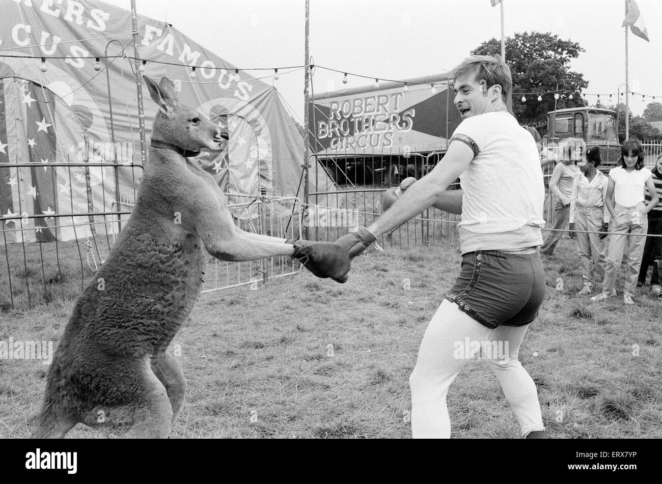 Radio One Disc Jockeys at Robert Brothers Circus in Eastbourne, photo-call for BBC Calendar 1981, taken 14th August 1980. Paul Gambaccini, poses for pictures, boxing with a Kangaroo. Stock Photo