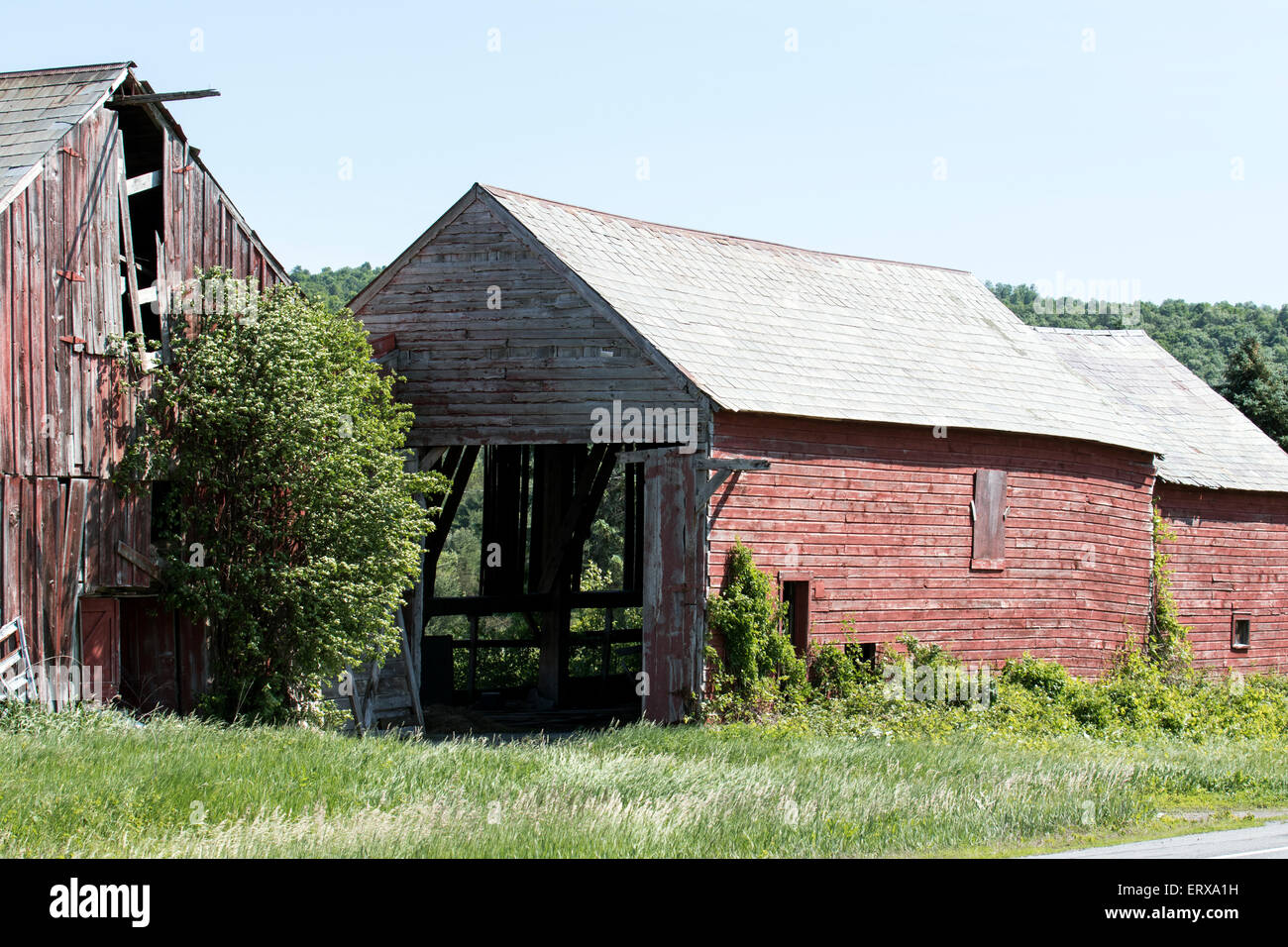 Old vintage red barn in the Adirondack State Park New York USA America