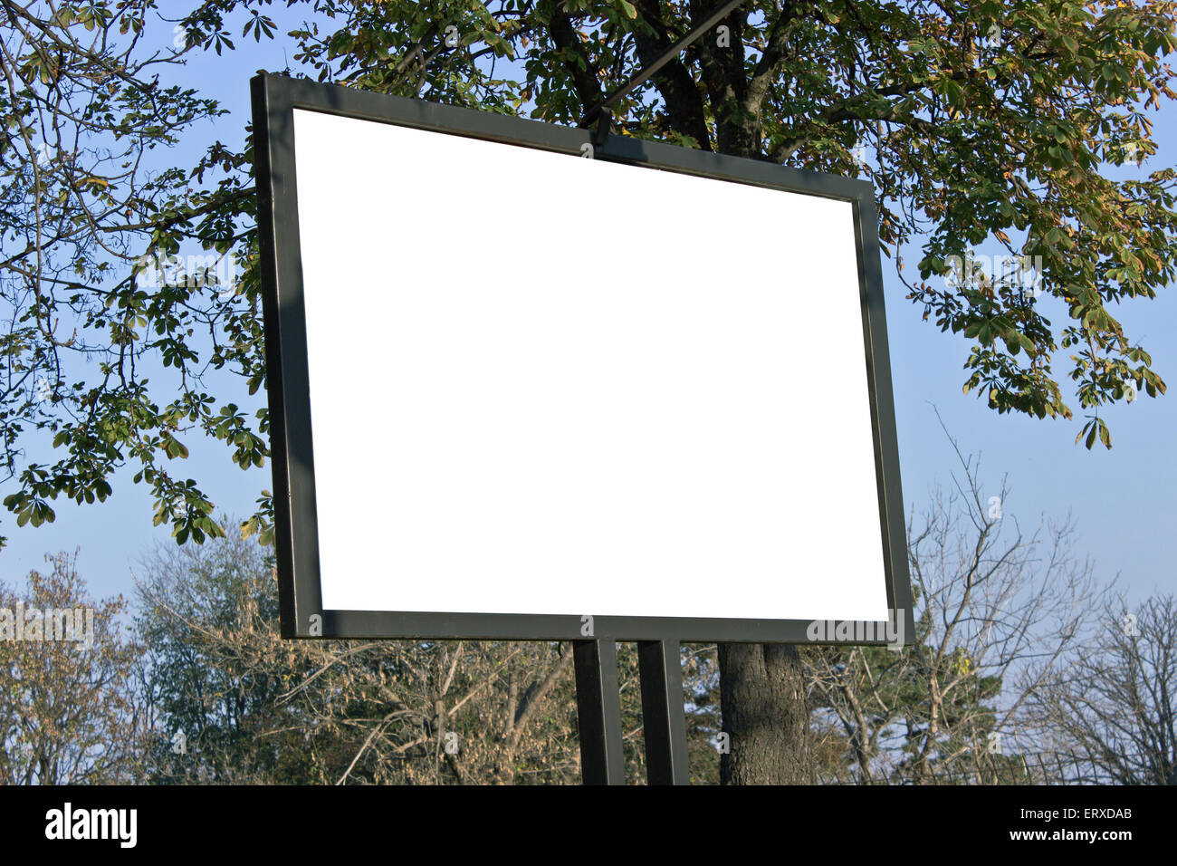 Blank billboard in a park with blue sky Stock Photo - Alamy