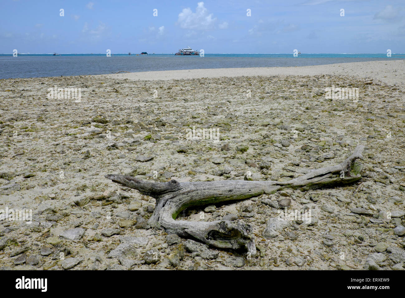 At Lady Musgrave Island Stock Photo