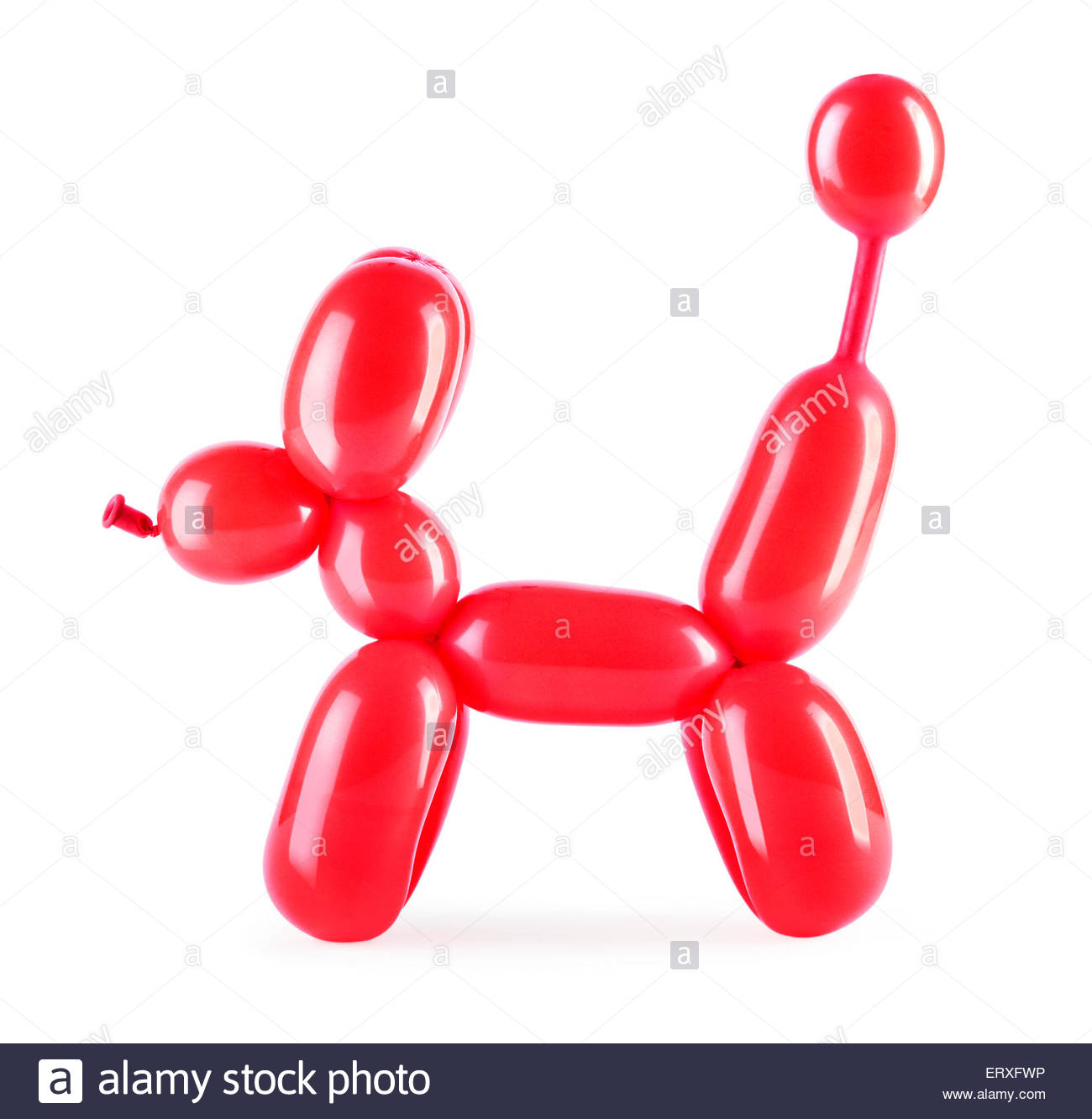 Balloon Dog Studio Stock Photos & Balloon Dog Studio Stock Images - Alamy