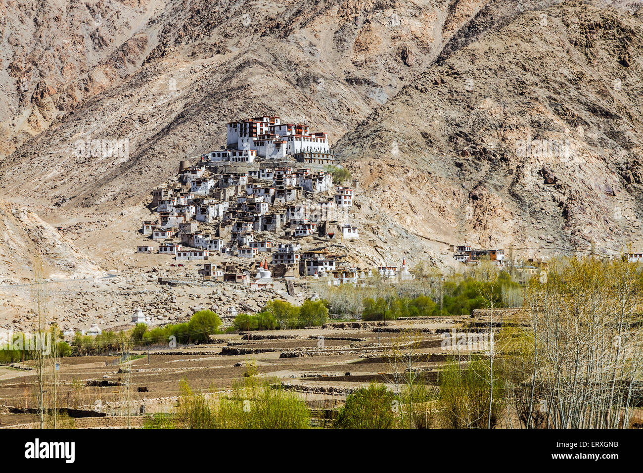 Chemrey Monastery in Leh, Ladakh Region, India Stock Photo