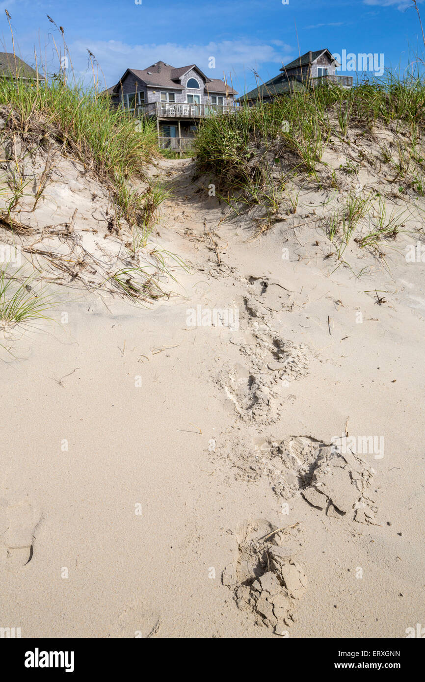 Outer Banks North Carolina Path Leading From Beach To Vacation