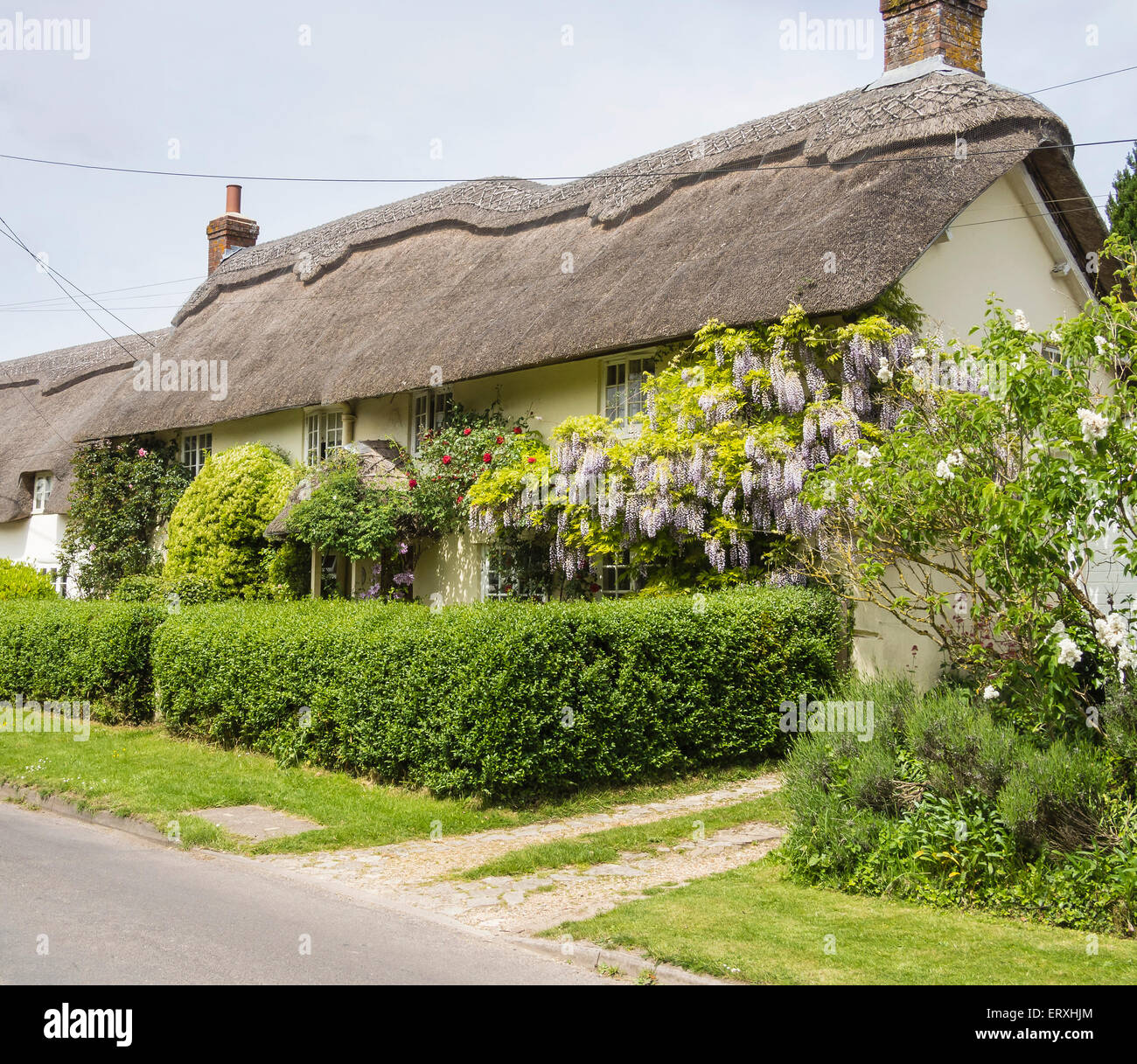 Thatched Cottage in the village of Martin, Hampshire, England, UK Stock
