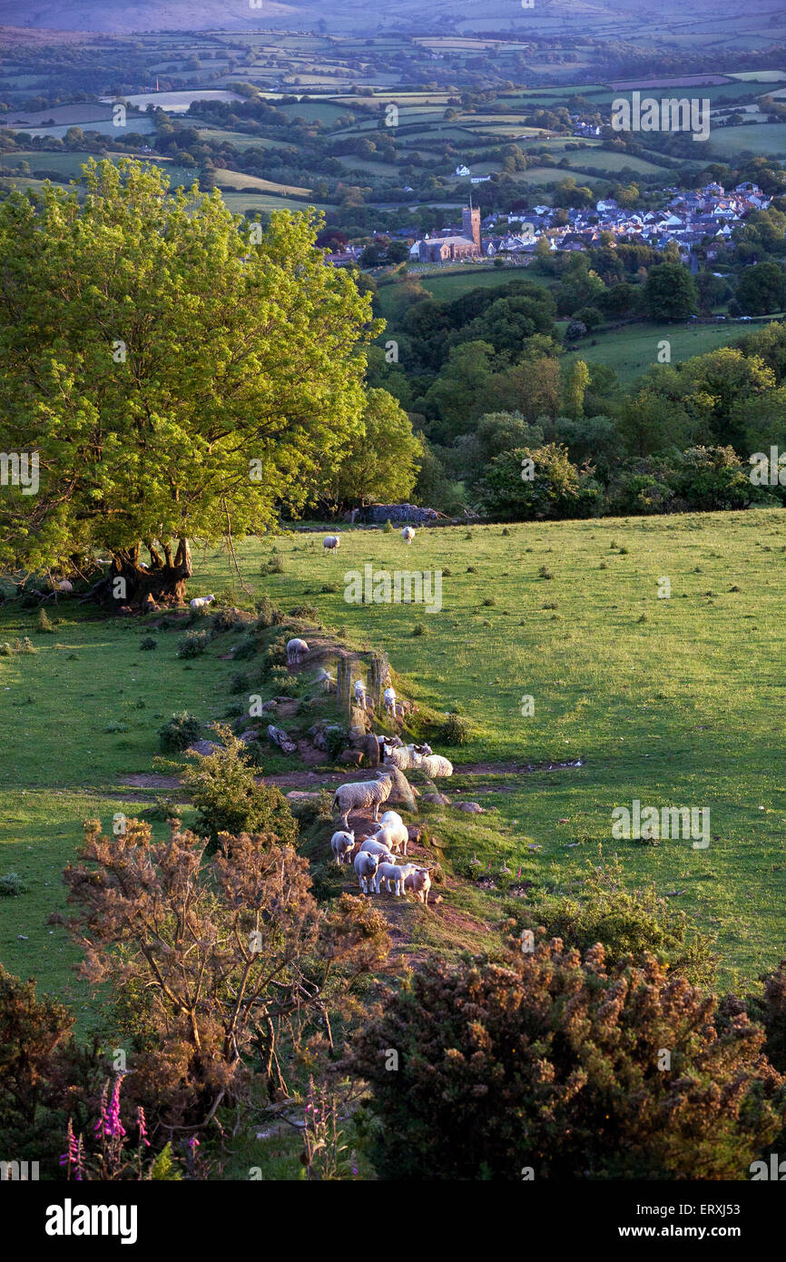 devon rolling hills,pasture,valley,hedgerows, english, uk, rolling, devon, farm, south, england, hill, tree,moretonhampstead,Dartmoor walks Stock Photo