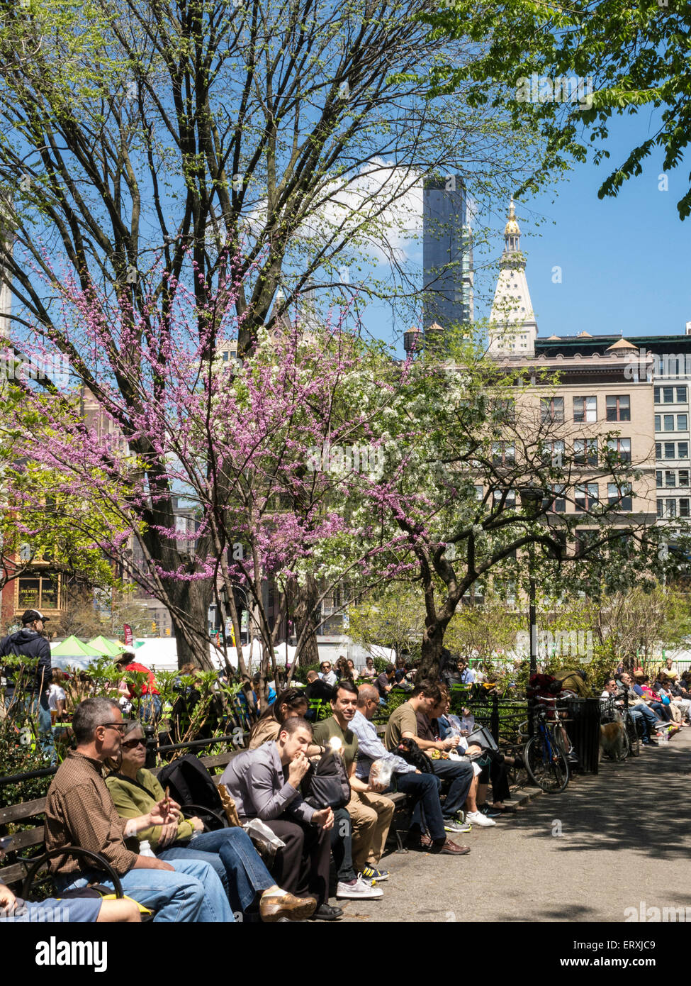 Union Square Park, Public Space, NYC Stock Photo