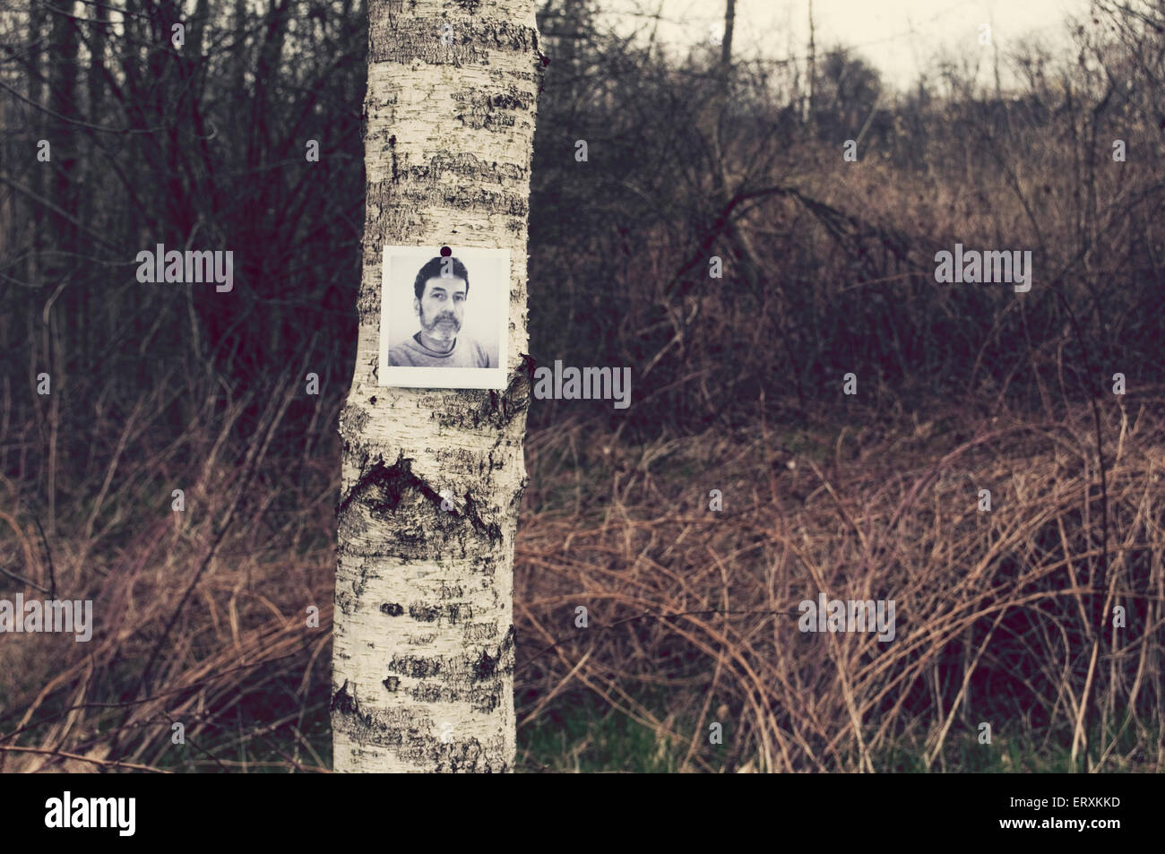 Man Hanging On Tree High Resolution Stock Photography and Images - Alamy