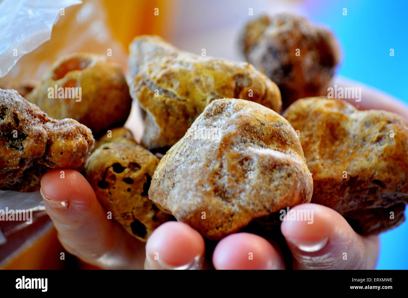 truffle tuber Stock Photo