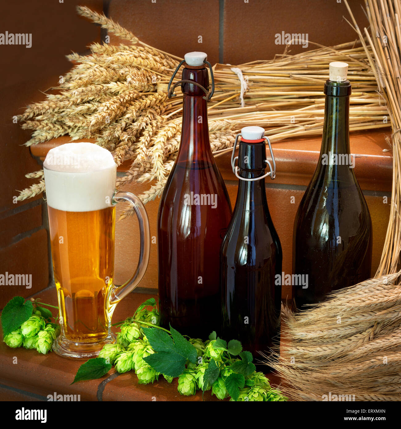 still life with bottles and raw material for beer production Stock