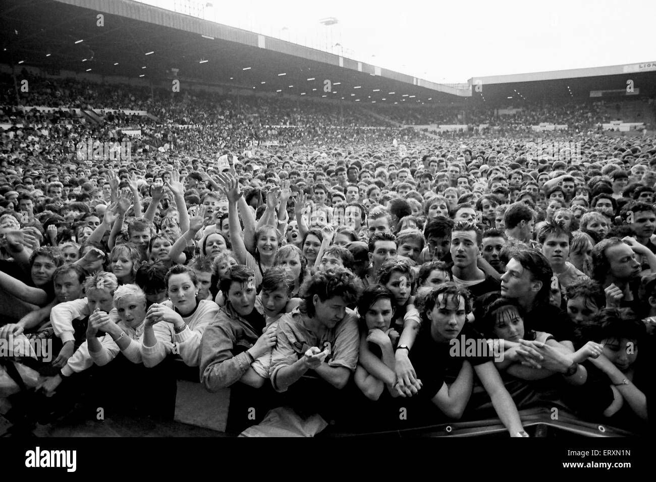 Classic black and white Stock Photo Alamy