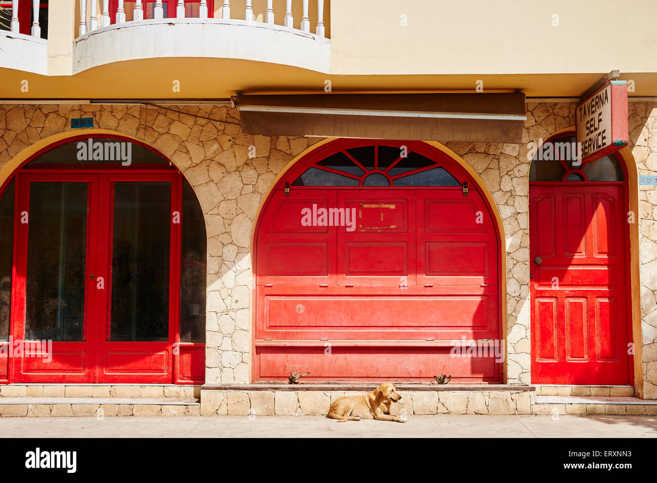 A dog sits on the street outside a shop and home in Sal's town center, Cape Verde Stock Photo