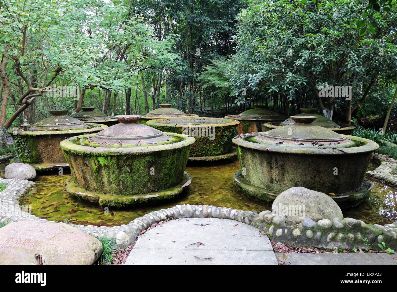 giant tea cups in forest Stock Photo Alamy