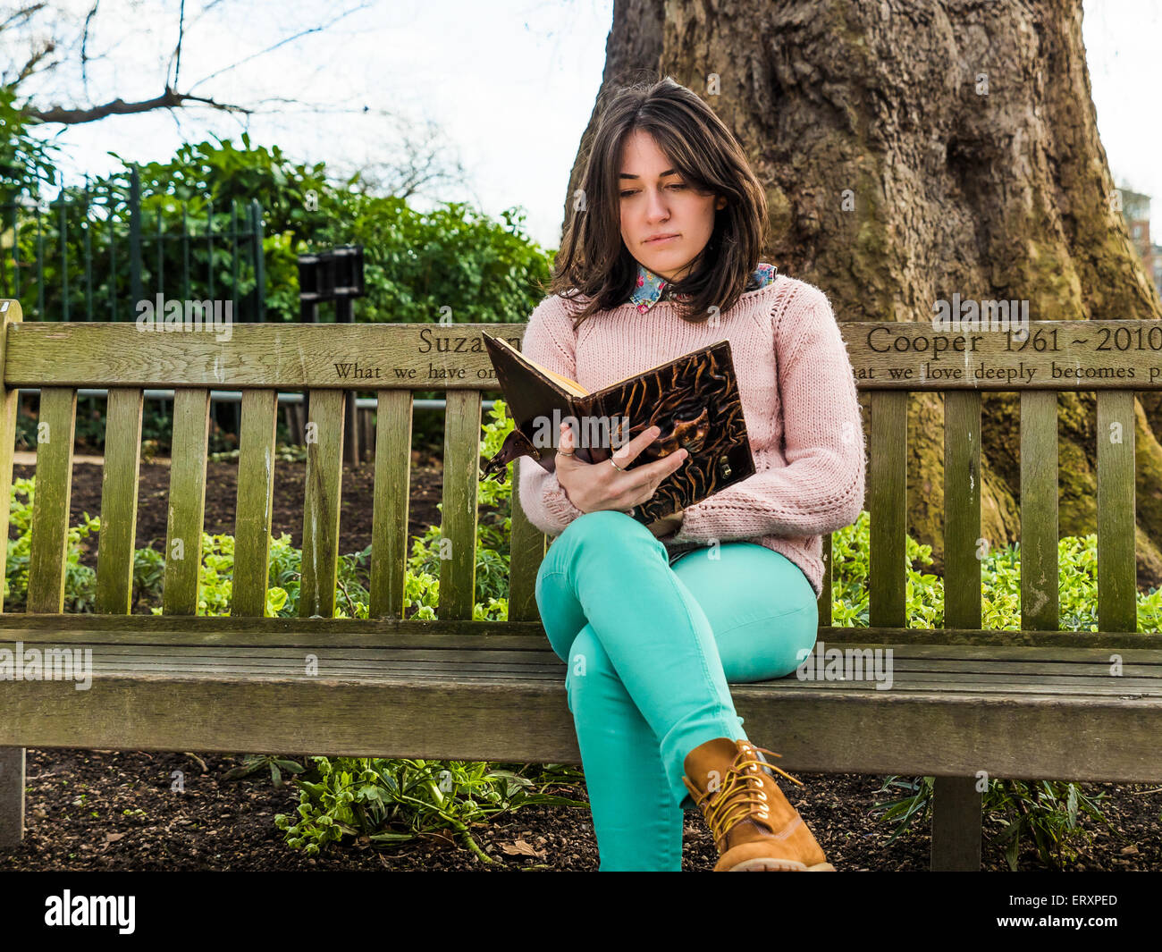 A Shot of a College Student Reading a Book on a Bench Stock Photo