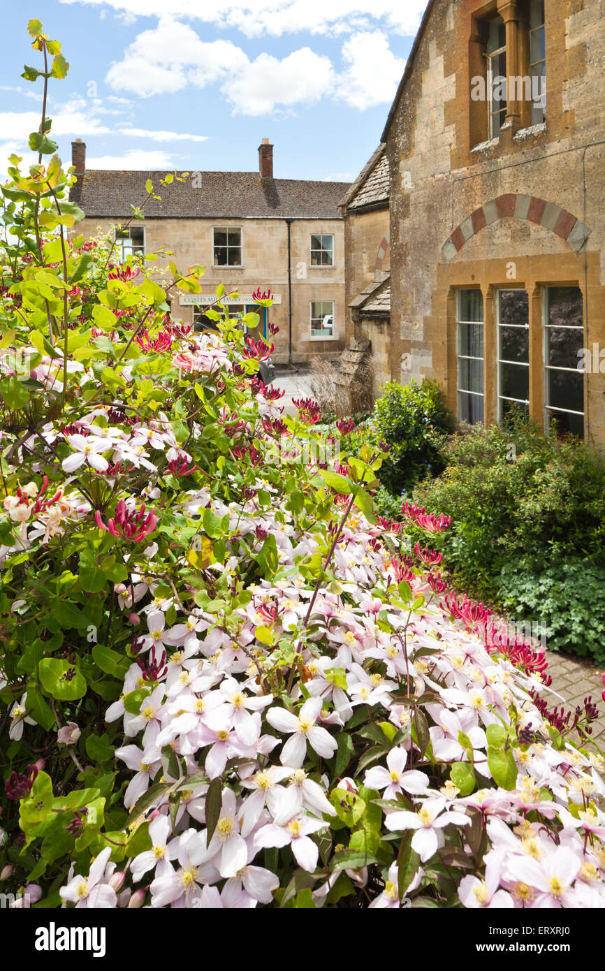 Springtime in the Cotswolds - Clematis and honeysuckle flowering at The Old School in the Cotswold town of Winchcombe, UK Stock Photo