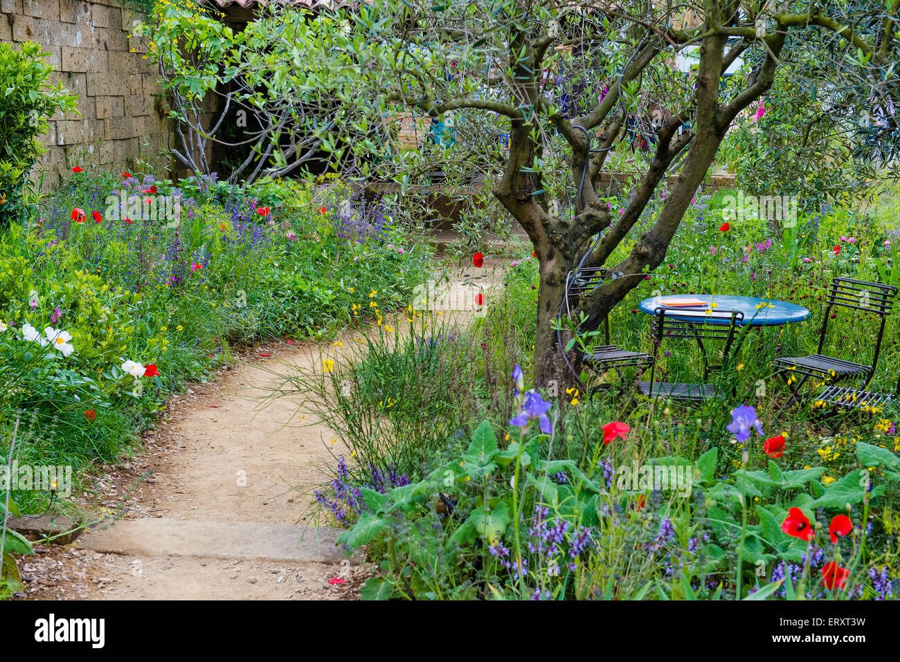 Natural garden. A Perfumer’s Garden by L’Occitane @ Chelsea Flower Show Stock Photo
