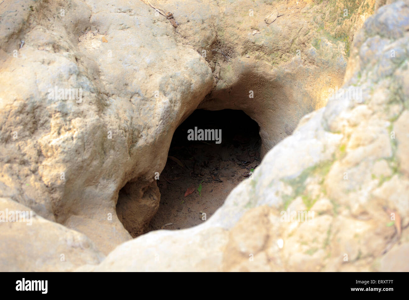 Entrance of a tunnel at Cu Chi Tunnels, Vietnam Stock Photo Alamy