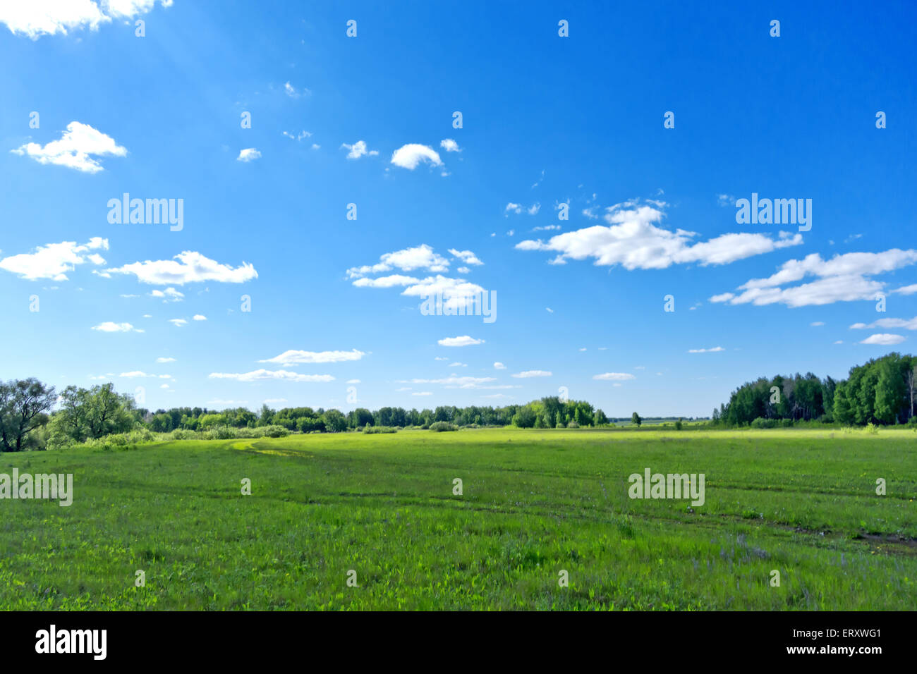 blue sky and green field Stock Photo - Alamy