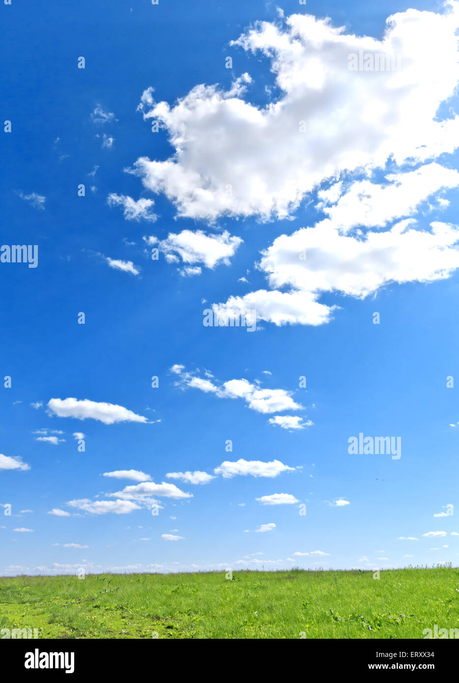 blue sky and green field Stock Photo - Alamy