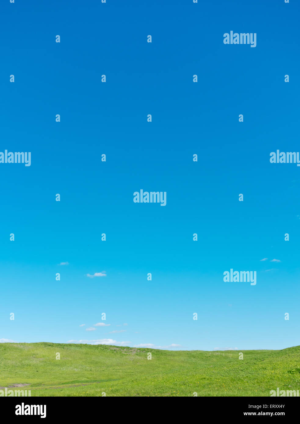 blue sky and green field Stock Photo - Alamy