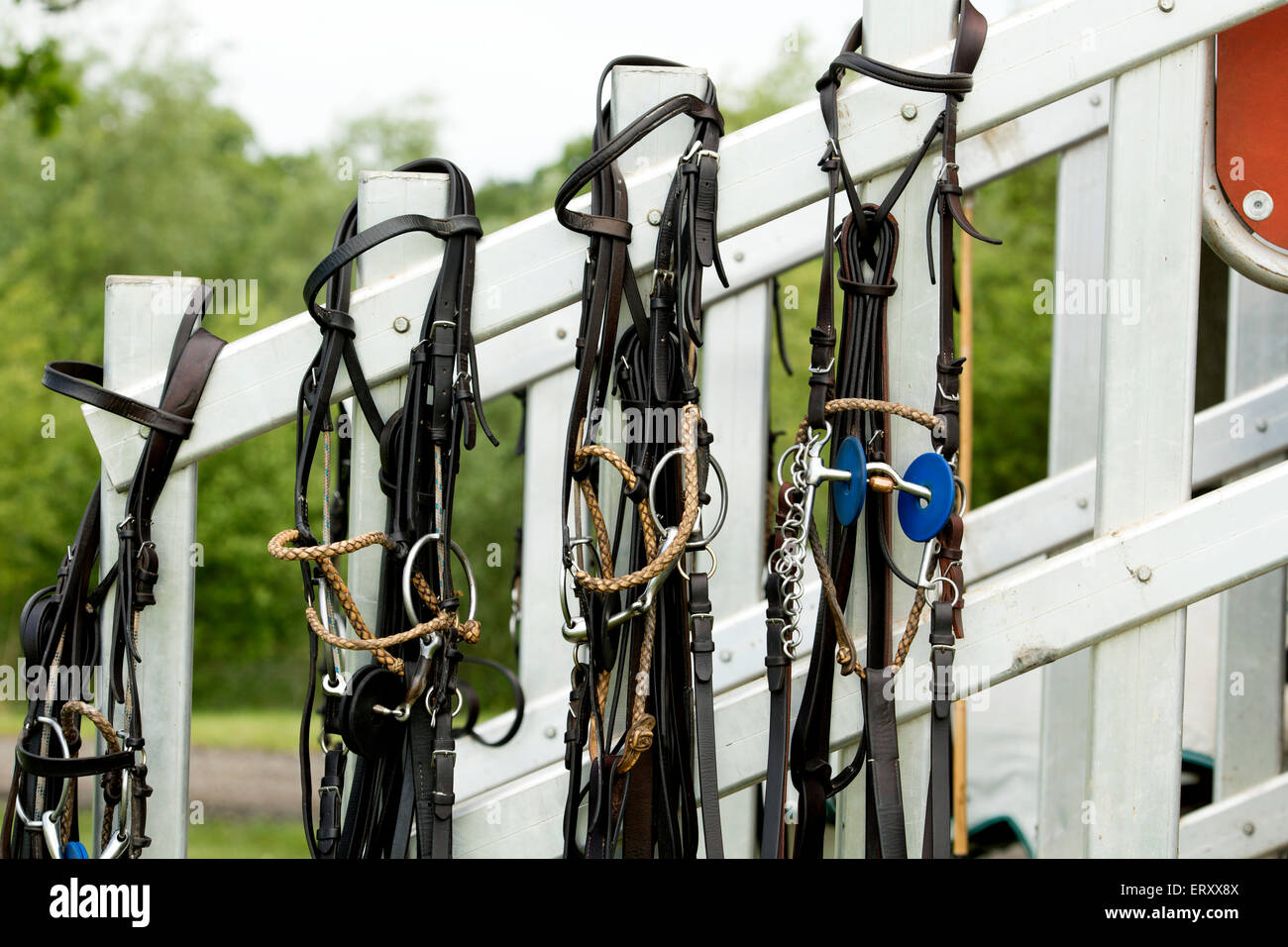 Horse riding tack Stock Photo Alamy