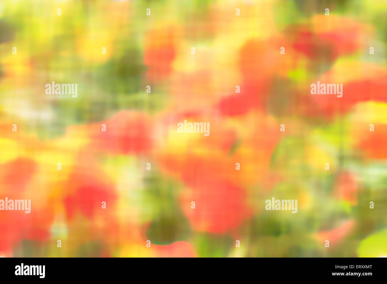 Impressionist poppies field background Stock Photo
