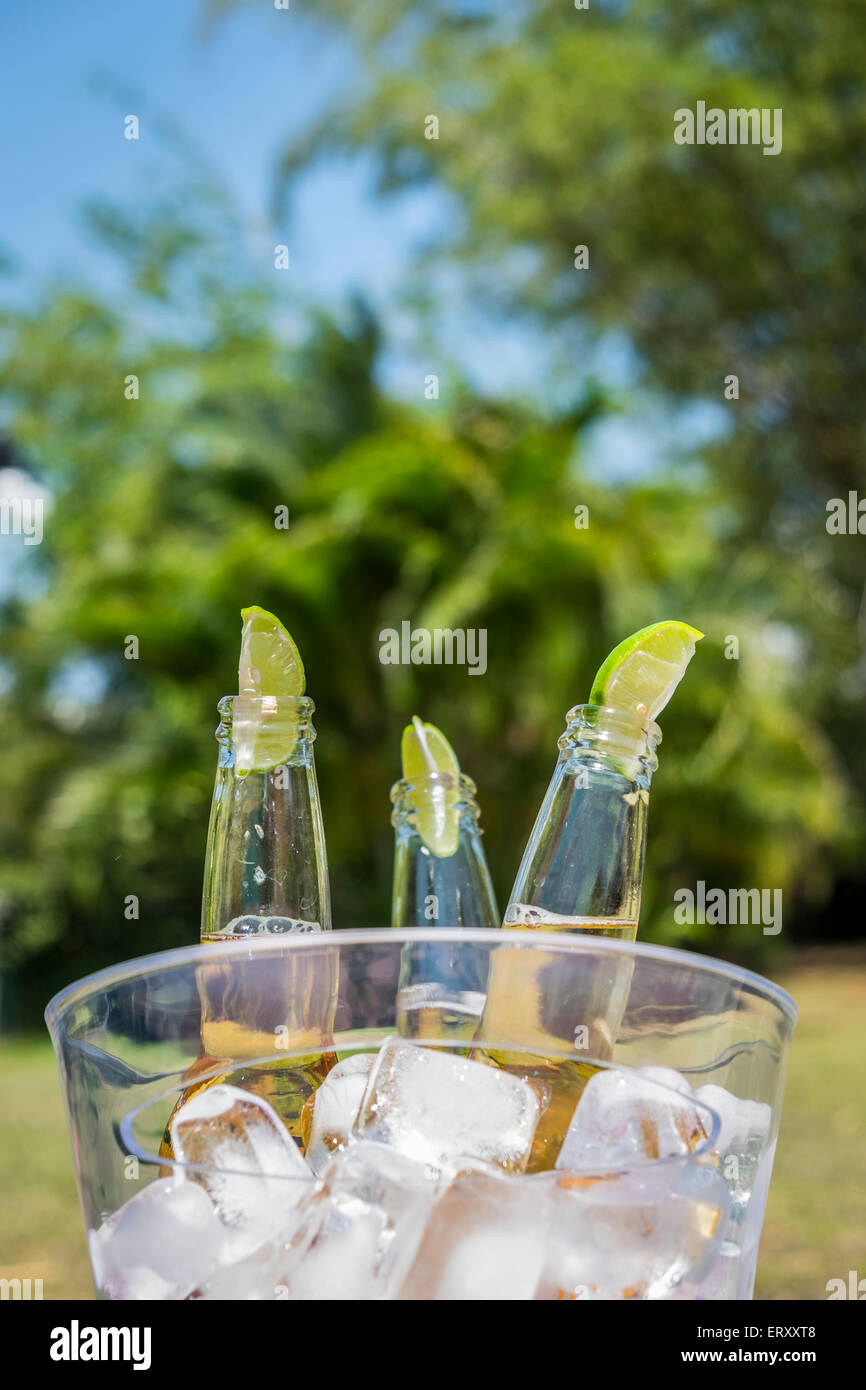 Beer bottles with slices of lime in ice bucket in tropical environment Stock Photo
