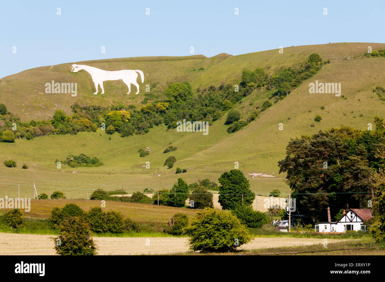 Westbury White Horse chalk figure on the escarpment of Salisbury Plain