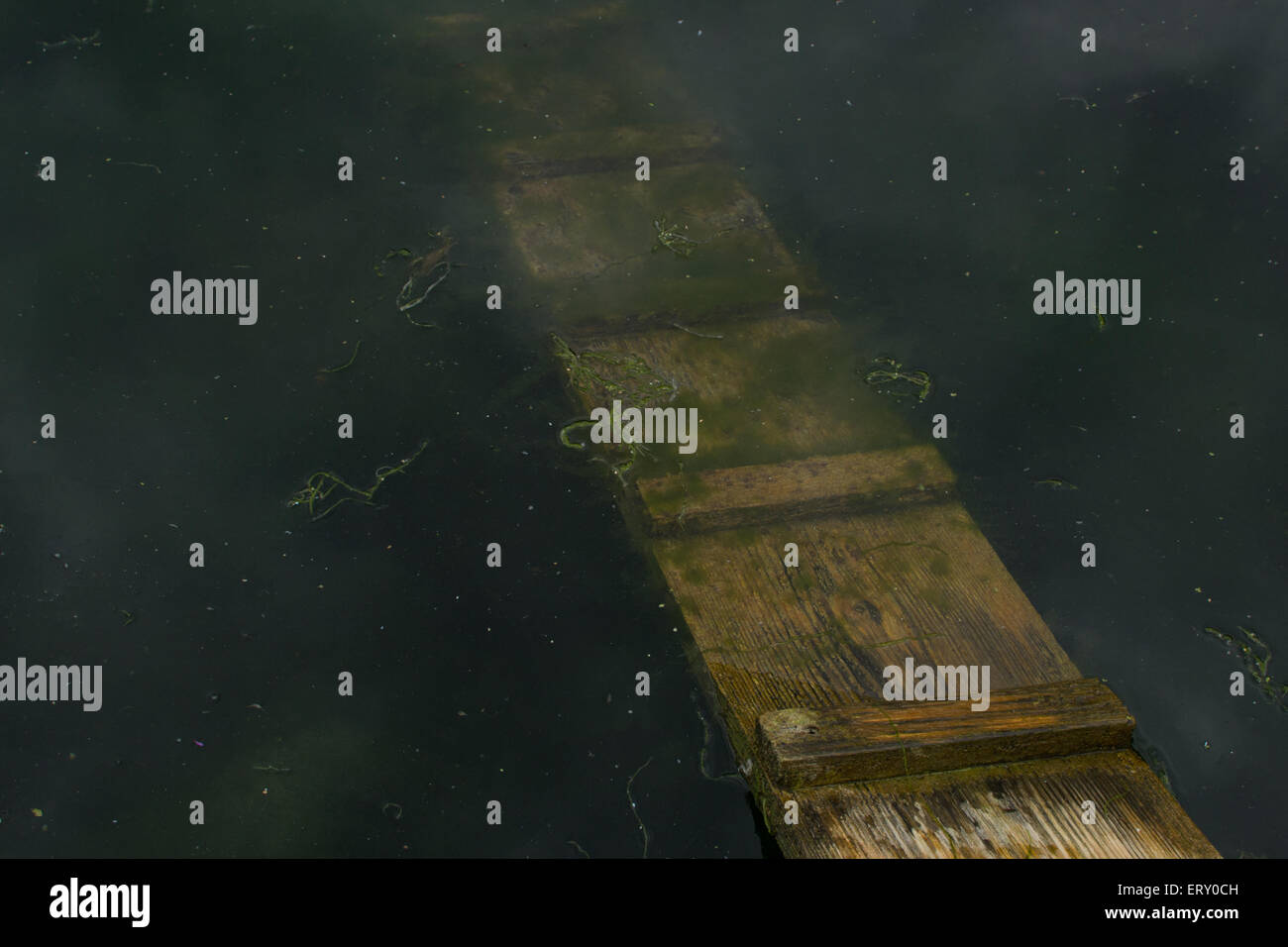 A wooden plank underwater Stock Photo Alamy