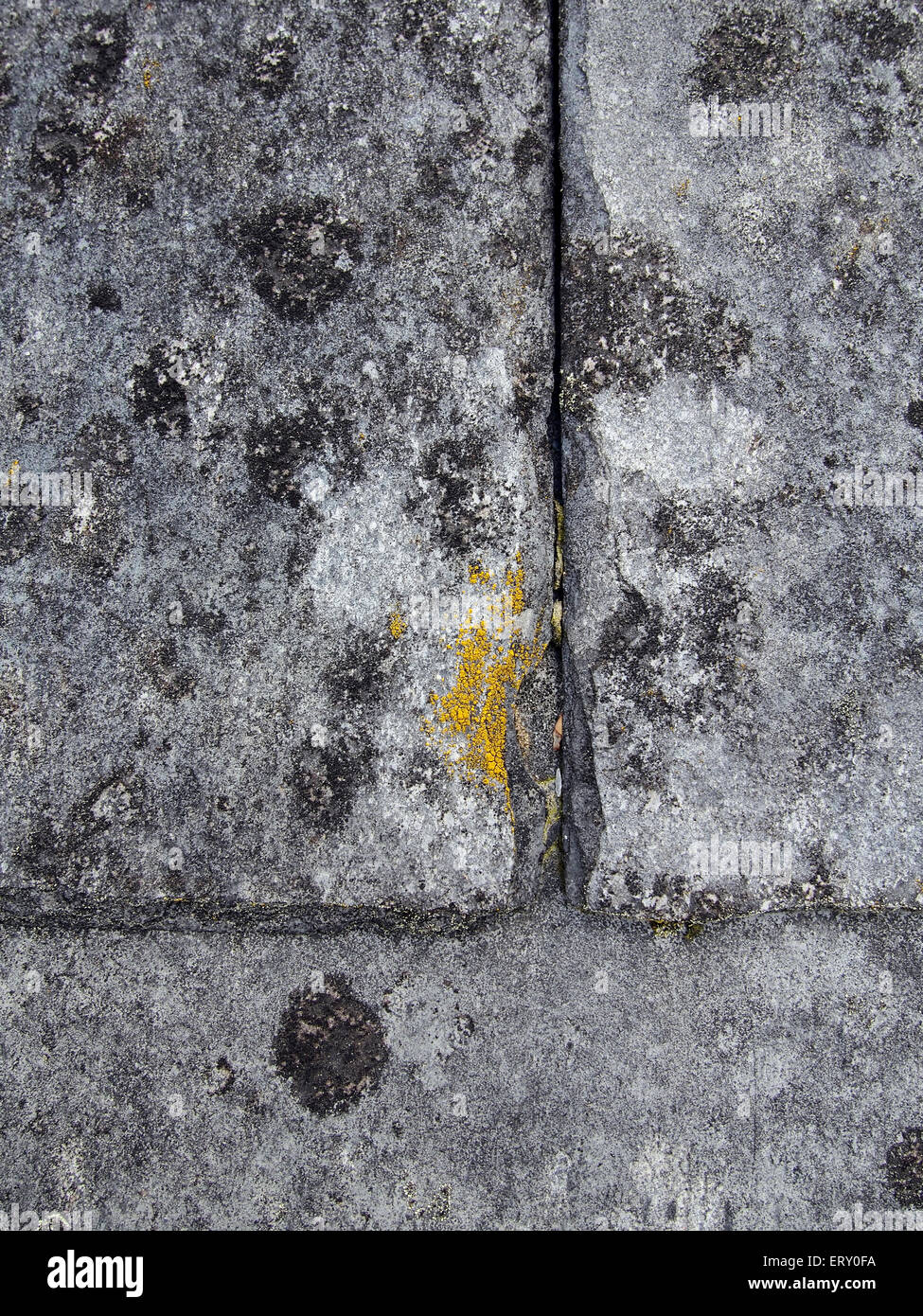 Close-up detail of part of an old slate roof showing the texture of the slate and the surface lichens. Stock Photo