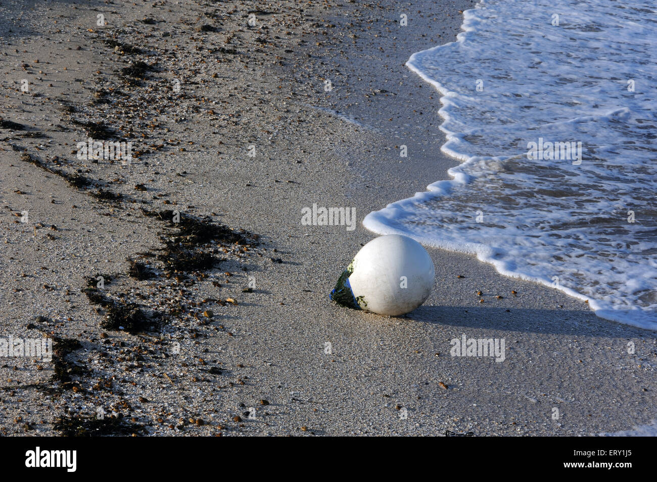 A white plastic buoy washes up on a sandy beach. Whitstable, Kent, UK Stock Photo