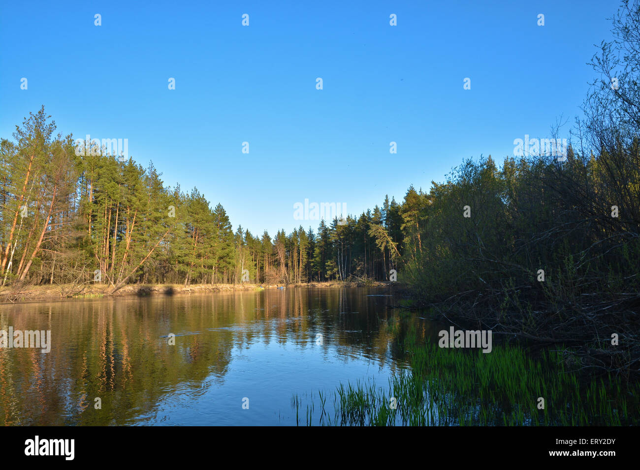 River landscape in spring. Forest river National Park in Central Russia ...