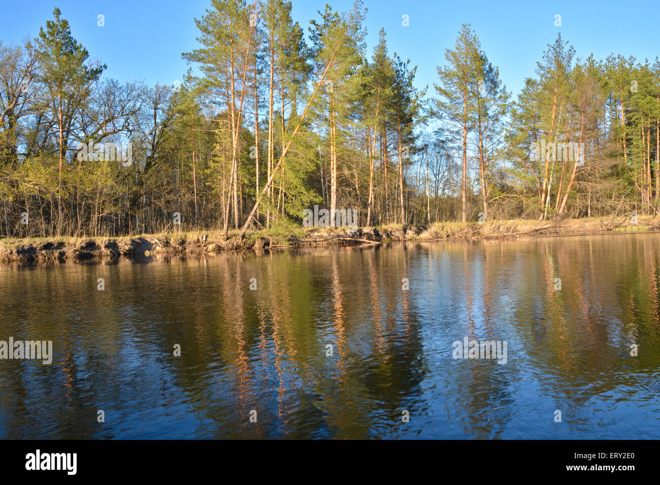 River landscape in spring. Forest river National Park in Central Russia ...