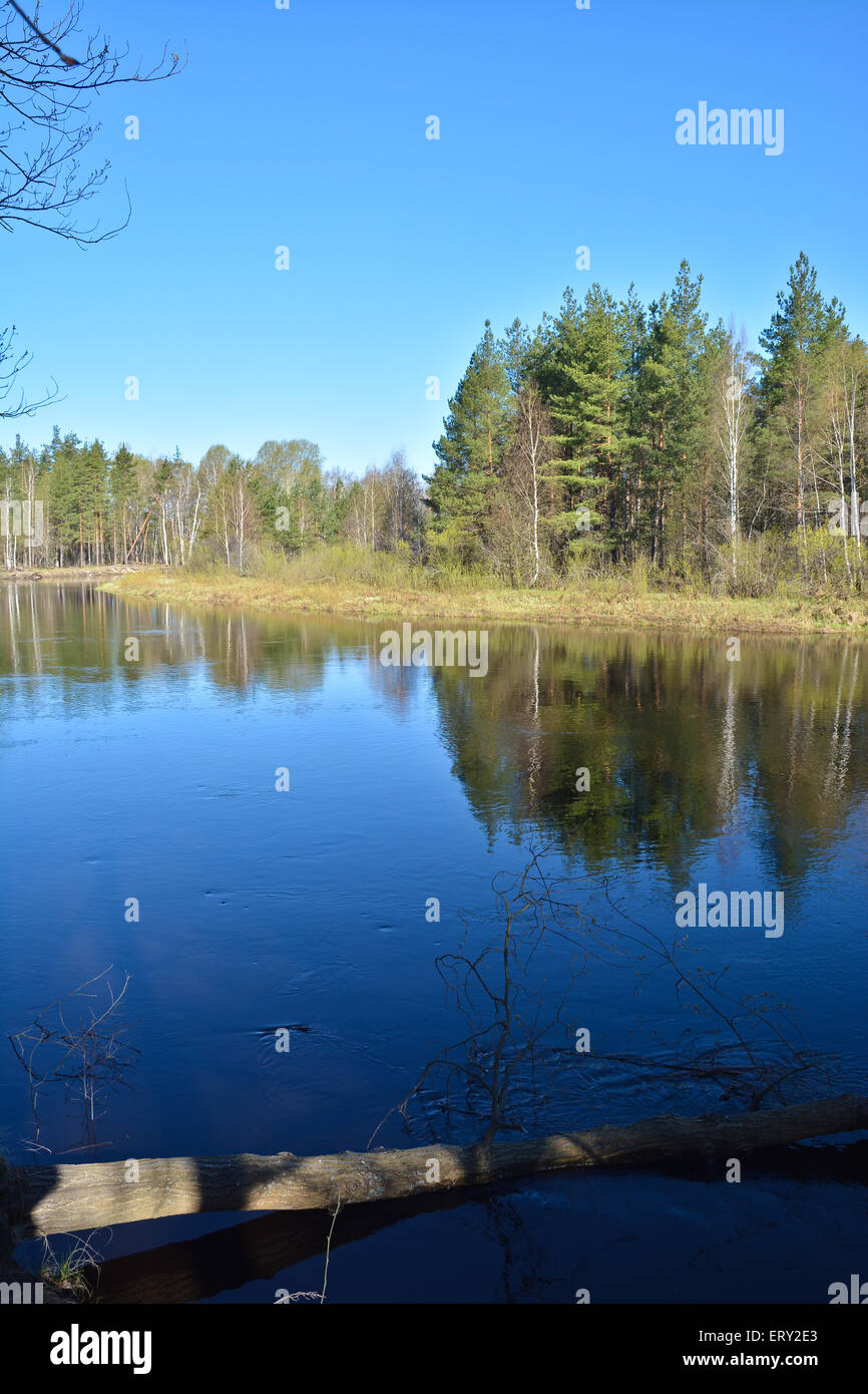 River landscape in spring. Forest river National Park in Central Russia ...
