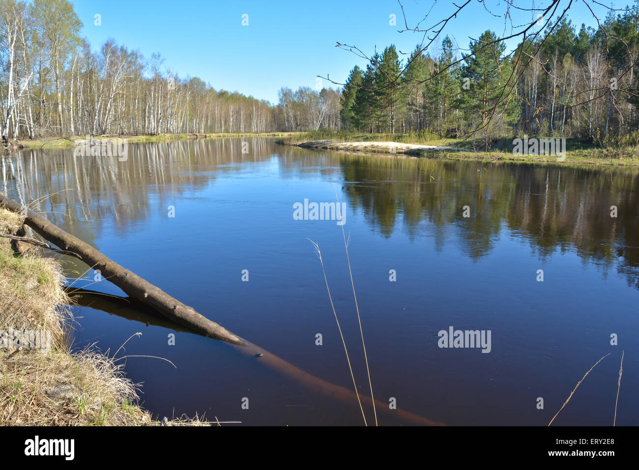 Spring river landscape. Forest river National Park in Central Russia ...