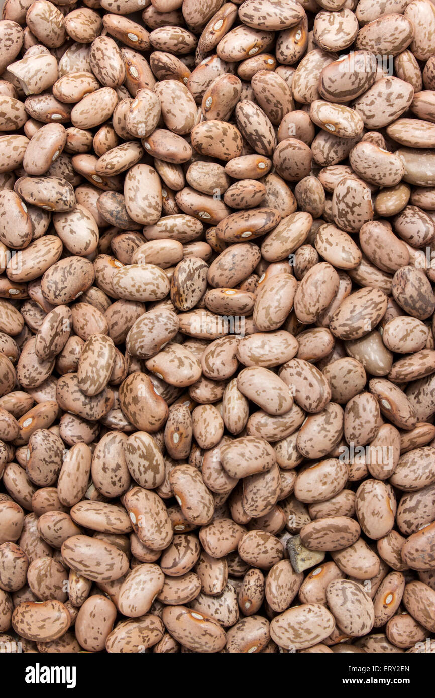 brown dried pinto beans Stock Photo Alamy