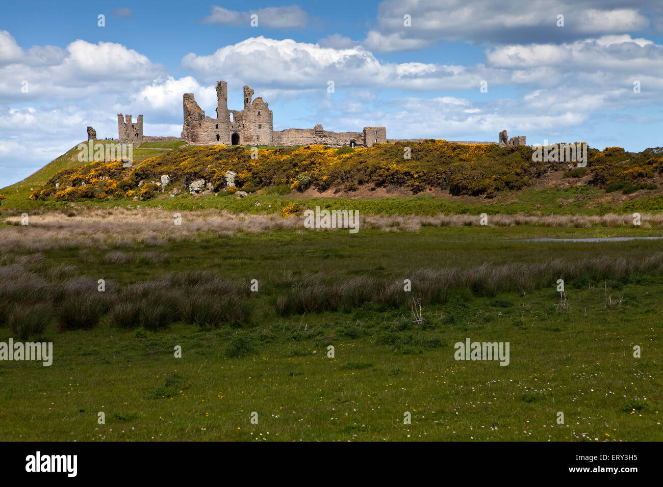 Dunstanburgh Castle, Northumberland Stock Photo